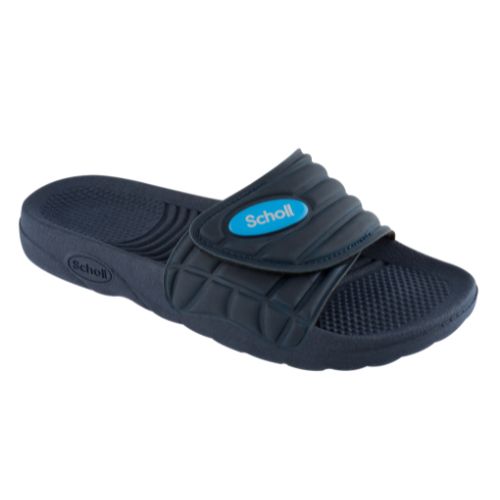 Nautilus Scholl