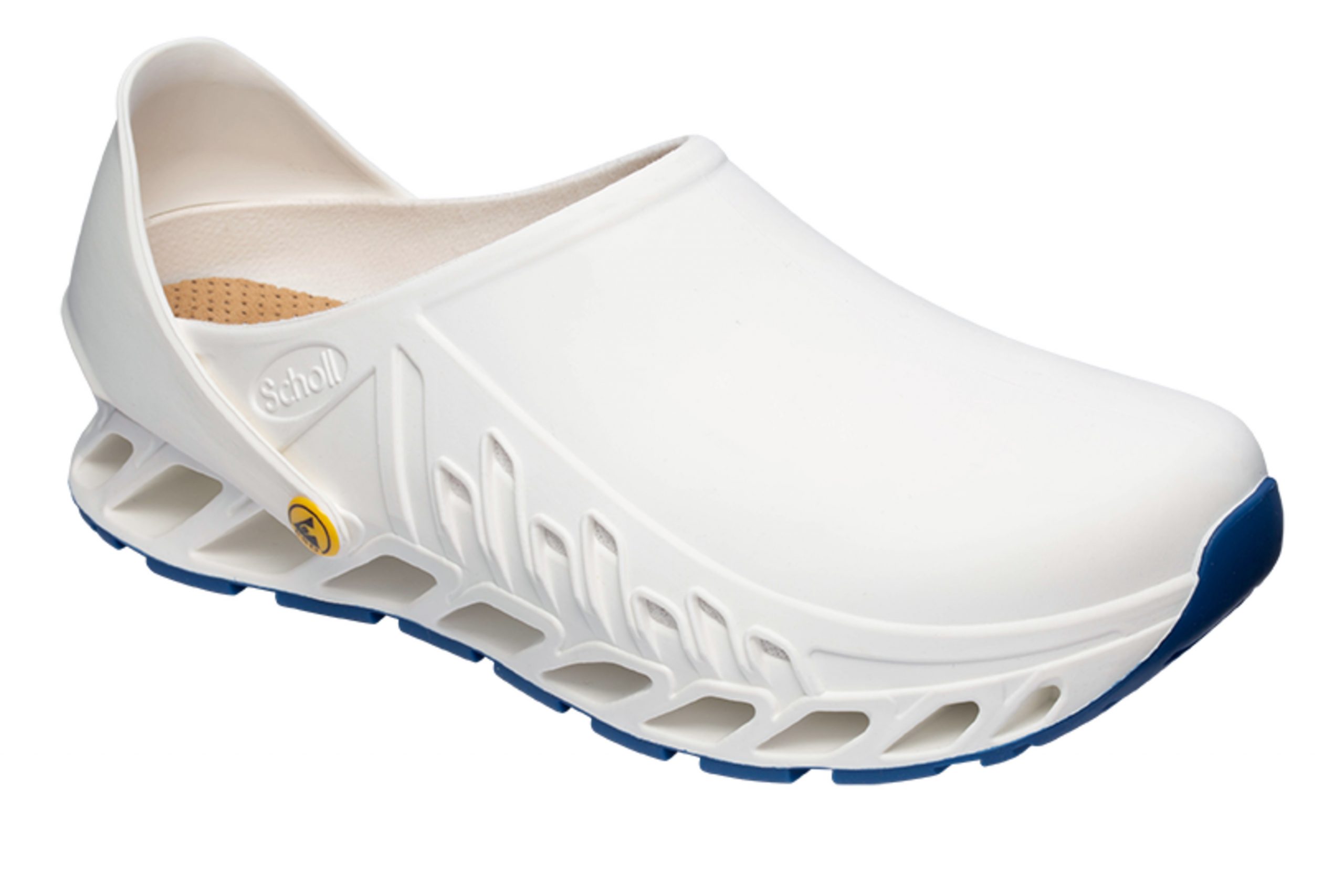 EVOFLEX Scholl