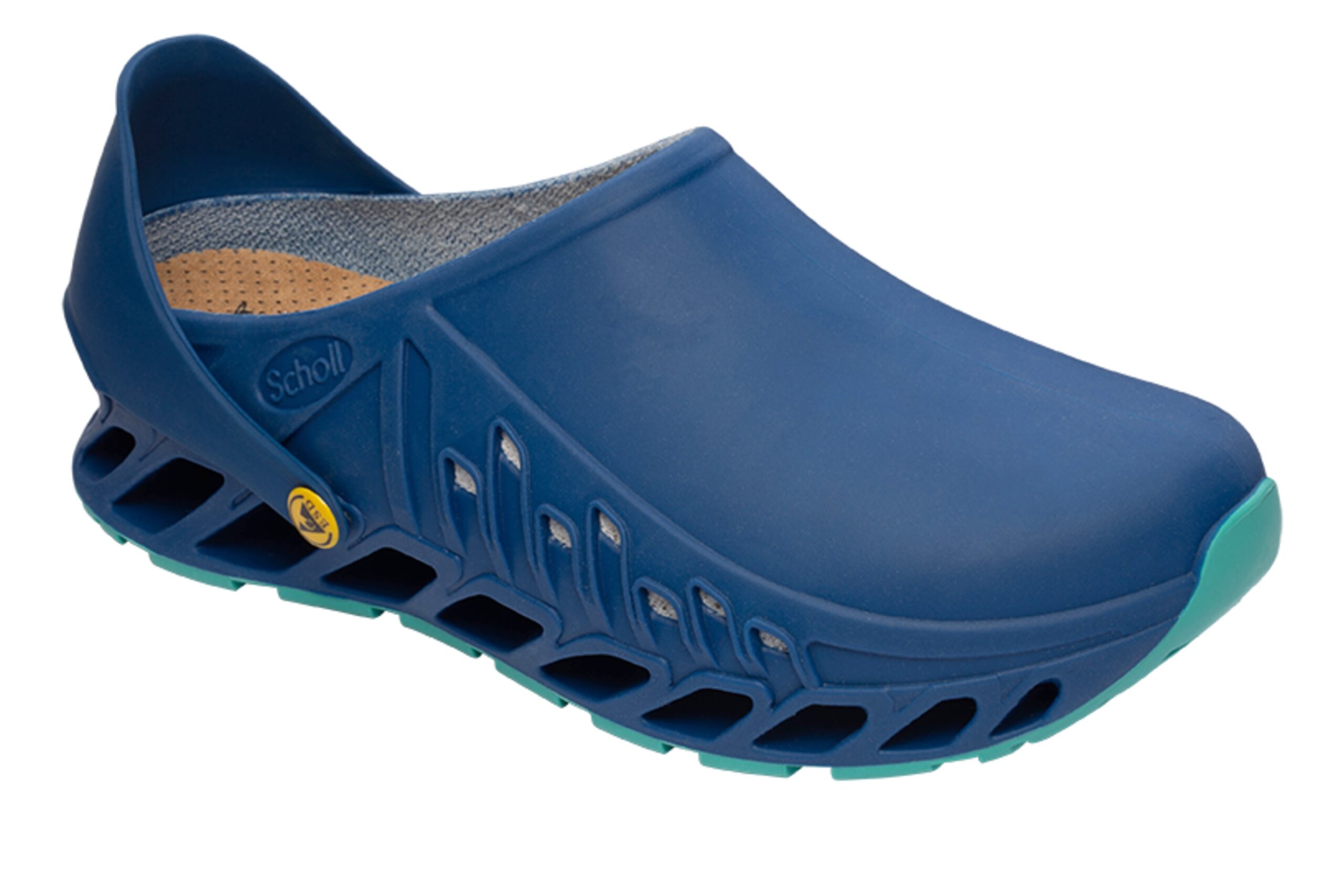 EVOFLEX Scholl