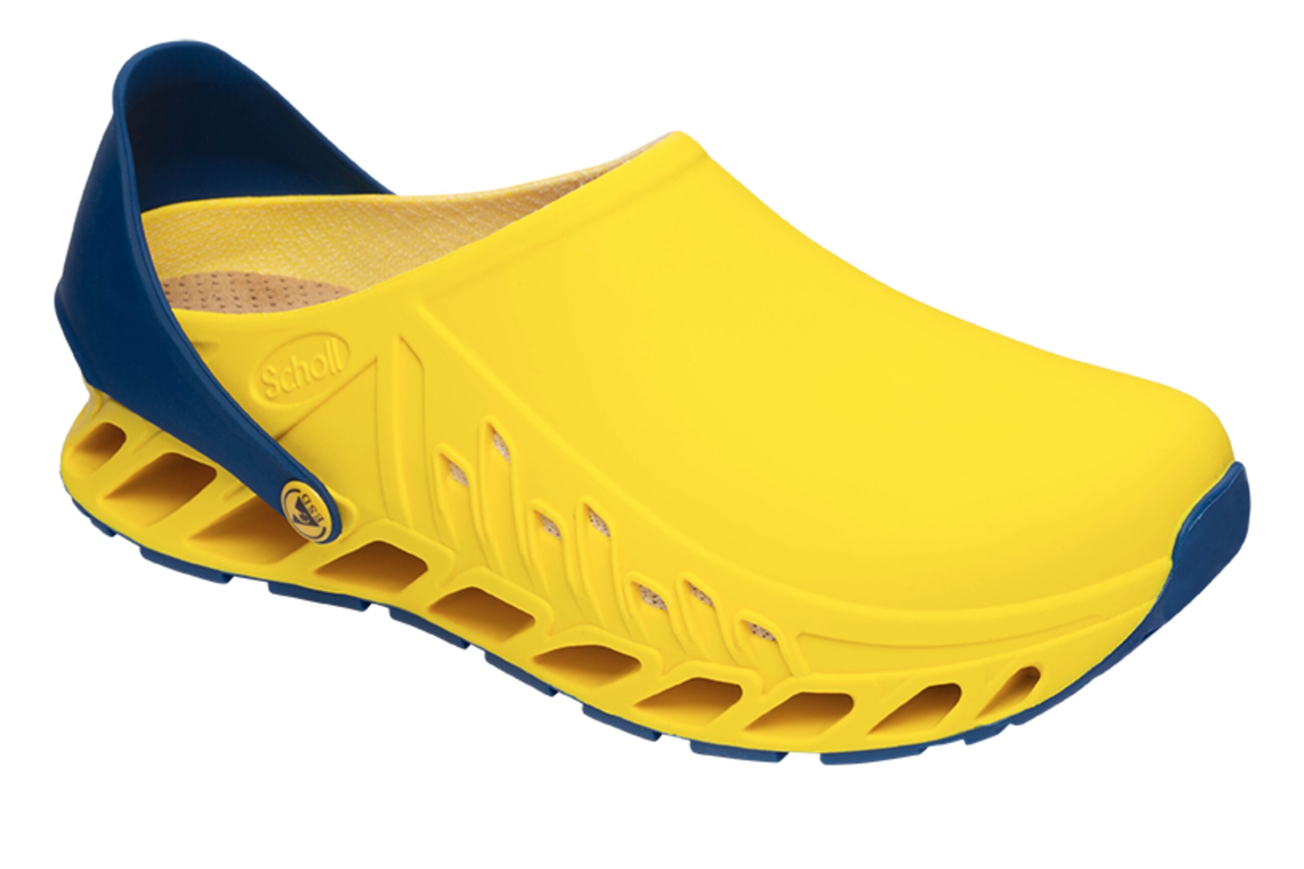 EVOFLEX Scholl
