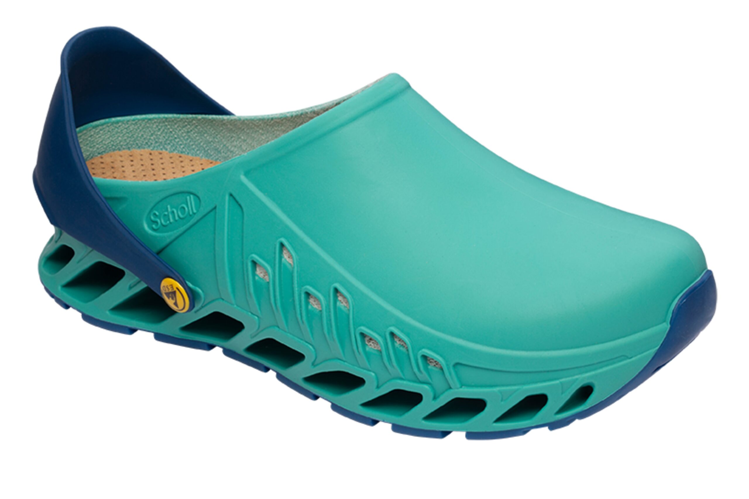 EVOFLEX Scholl