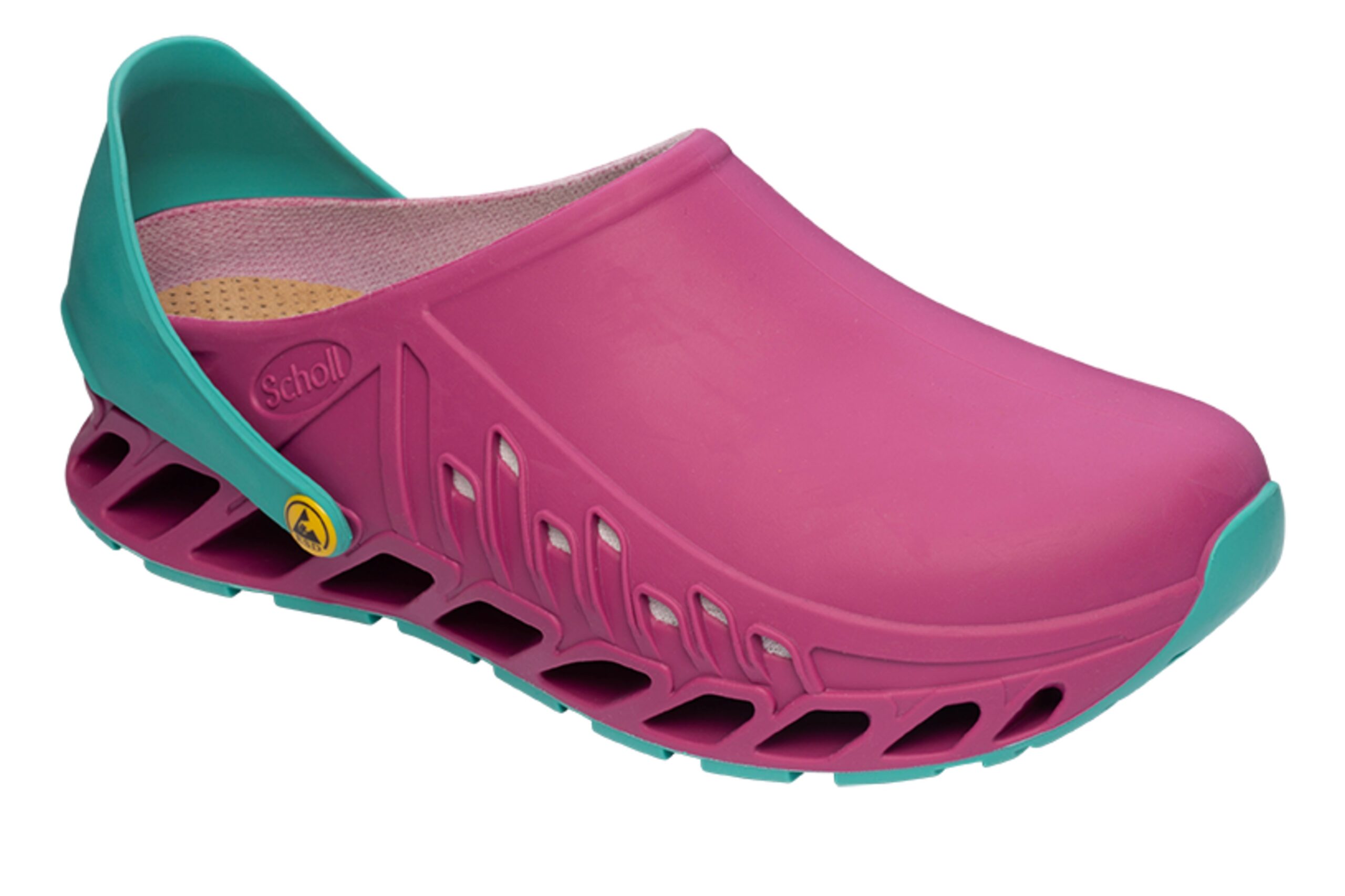 EVOFLEX Scholl