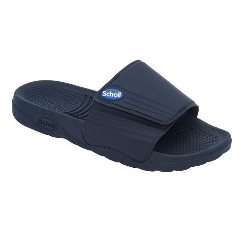 Nautilus Scholl