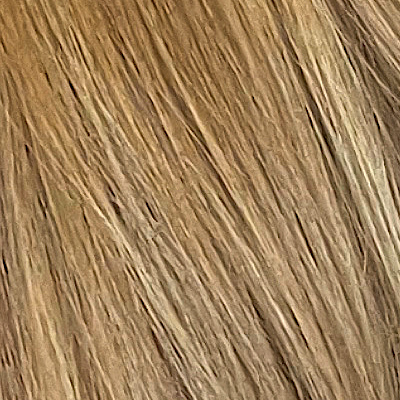 Peruka naturalna z włosów słowiańskich blond refleksy OMARI S 12R+14/16H