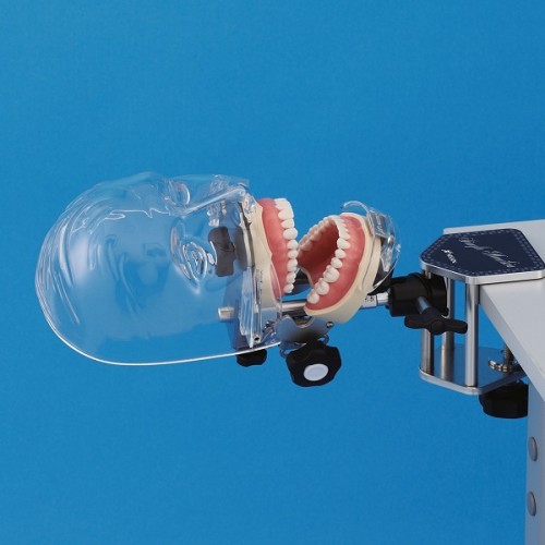 Fantom Simple Manikin III (zestaw standardowy)