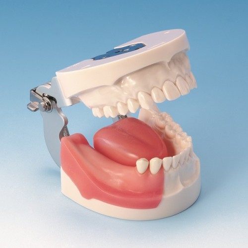 Model IMP5003-UL-SP-FEM (model do implantacji)